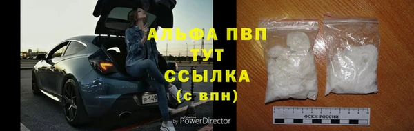 дживик Новозыбков