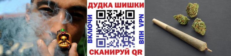 Бошки Шишки план  Новое Девяткино 